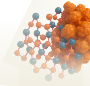 NAD(P)H Quinone Dehydrogenase 1