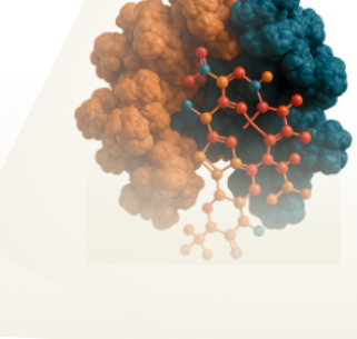 Aromatase