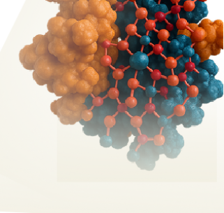BTD (Biotinidase)