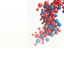 Steroid 5-Alpha-Reductase