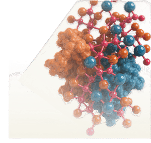Prostaglandin D2 Receptor
