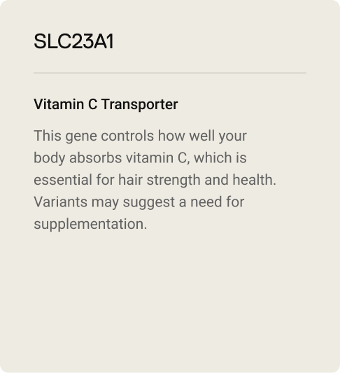 2-ingredients-SCL23A1