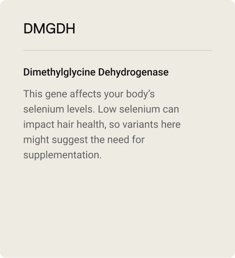 5-ingredients-DMGDH