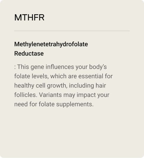 8-ingredients-MTHFR