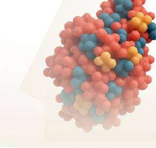 Vitamin C Transporter