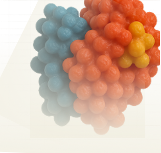 Cellular Retinoic Acid Binding Protein 2