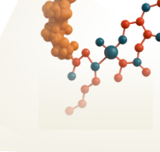 Zinc Finger  Protein ZPR1