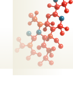 Sulfotransferase 1A1