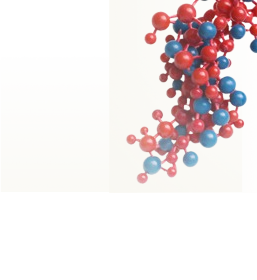 Steroid 5-Alpha-Reductase