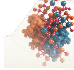 Prostaglandin D2 Receptor