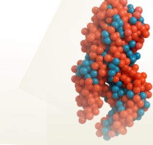 Angiotensin- Converting Enzyme