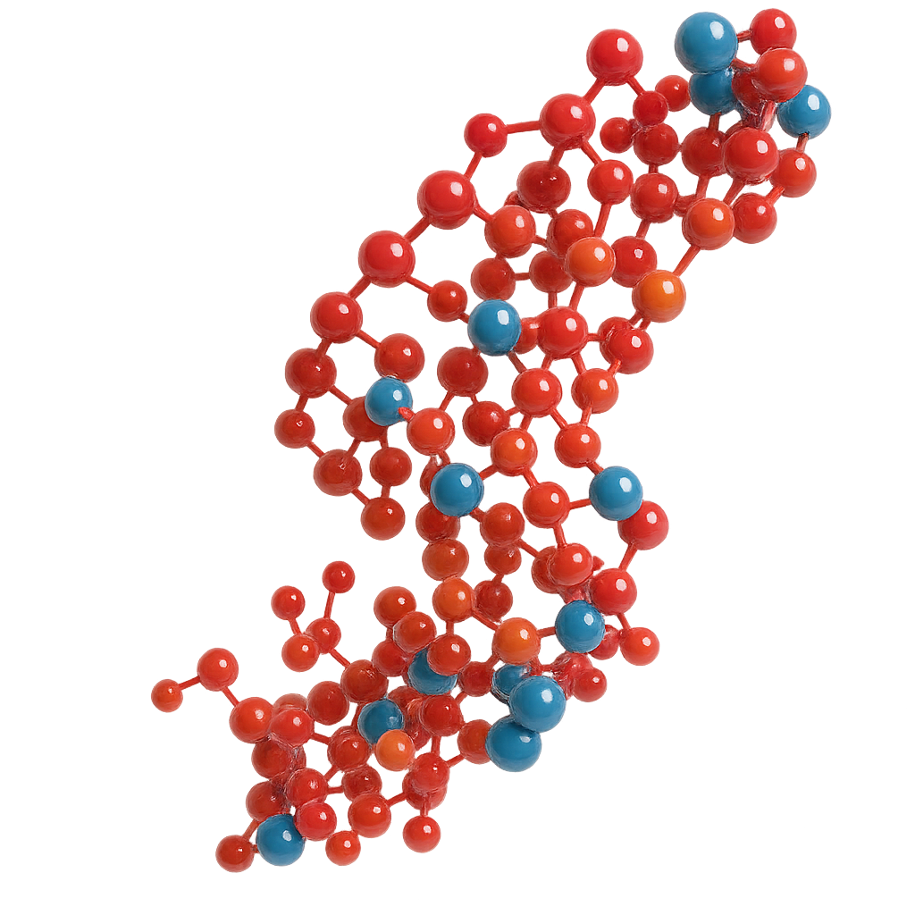 Dimethylglycine Dehydrogenase